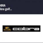 FICHECOBRAGOLF