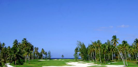 Green Pearl Moorea