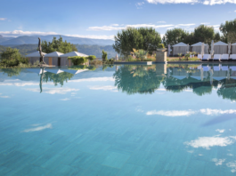 Un havre de paix dans le midi