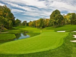 Green : Une semaine pour l’avenir