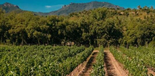 Collection Barbossi c'est bien entendu de bons flacons mais c'est aussi un hôtel et un golf !