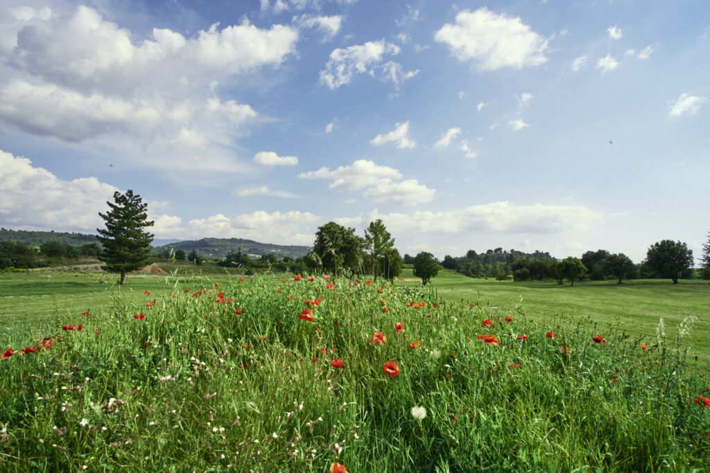 Domaine des Hautes Garrigues 