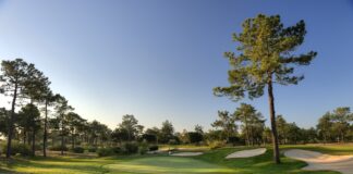 Troia Portugal Details hole 13