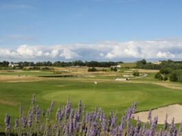 100 arbres pour les 100 ans du Golf de Coutainville