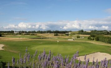 100 arbres pour les 100 ans du Golf de Coutainville