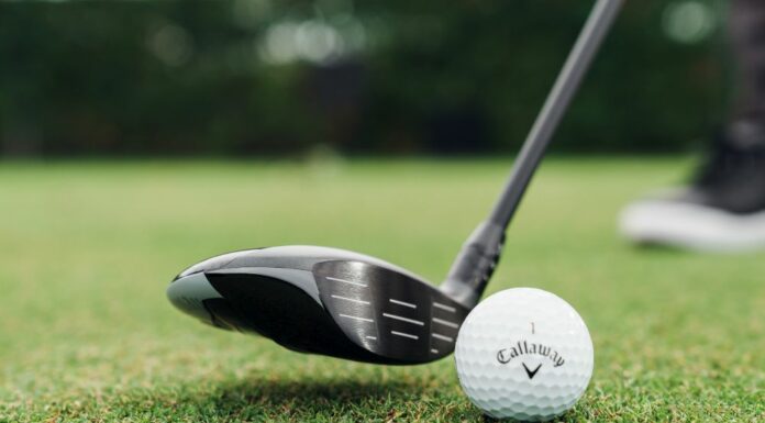 Bois de parcours Callaway Quantum