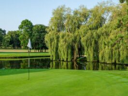 Rendez-vous au Championnat de France des Métiers du Golf Ora E-Cars 2026 à Saint-Nom