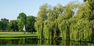 Rendez-vous au Championnat de France des Métiers du Golf Ora E-Cars 2026 à Saint-Nom