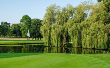 Rendez-vous au Championnat de France des Métiers du Golf Ora E-Cars 2026 à Saint-Nom