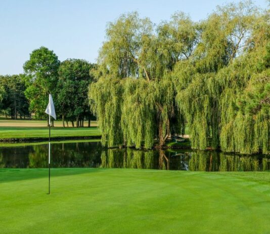 Rendez-vous au Championnat de France des Métiers du Golf 2026 à Saint-Nom