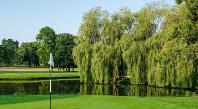 Rendez-vous au Championnat de France des Métiers du Golf 2026 à Saint-Nom