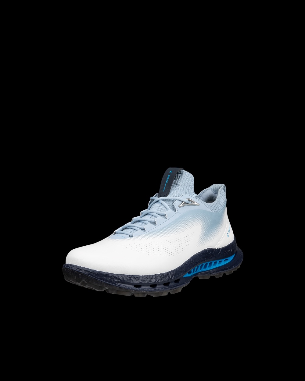 Ecco Biom C5 blue