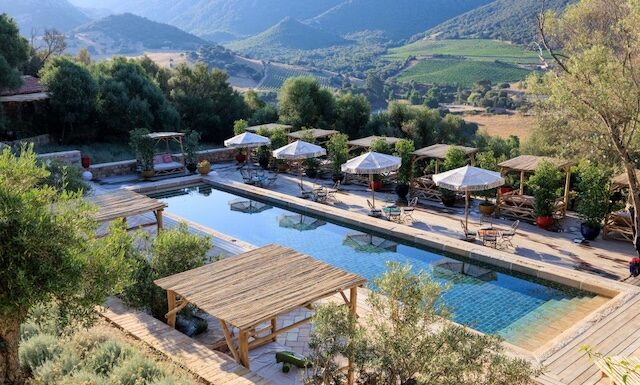 Lifestyle : A Mandria di Murtoli fête son premier printemps A Mandria di Murtoli