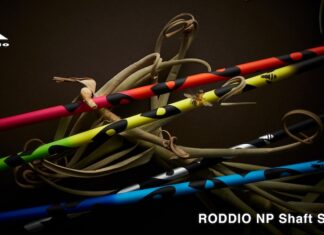 Roddio