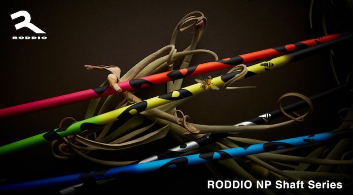 Roddio