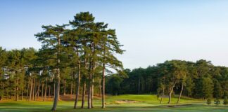 Golf & architecture : l’art du trompe l’œil Harndelot Les Pins