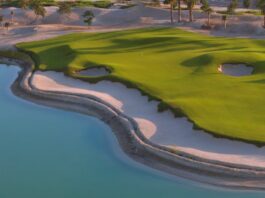 Shura Links, Arabie Saoudite