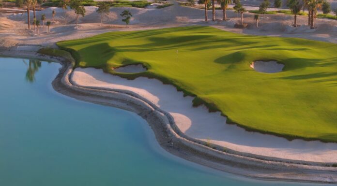 Shura Links, Arabie Saoudite