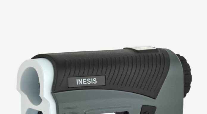 inesis